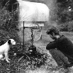 Traveller and dog.tif