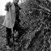 hedgerSmall.jpg
